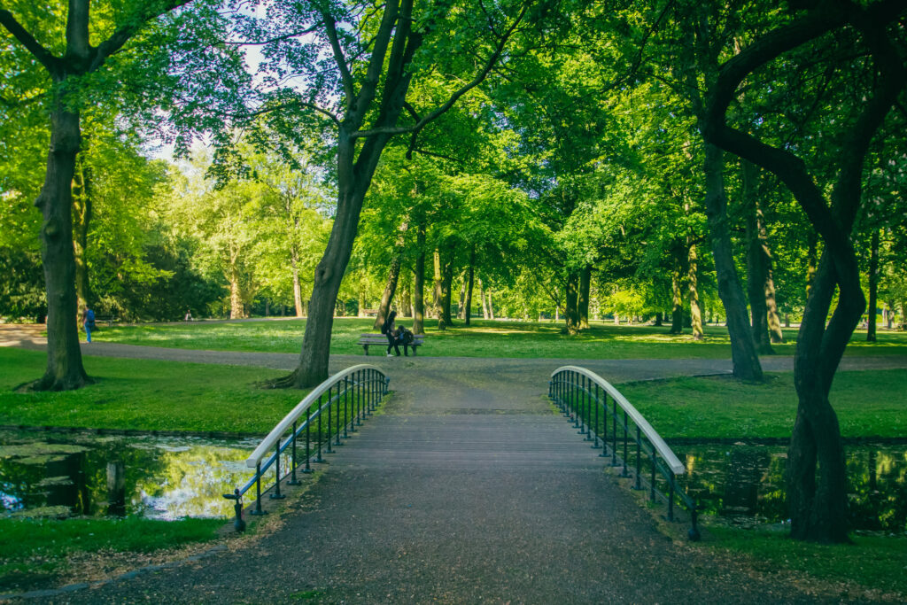 Der Het Park in Rotterdam
